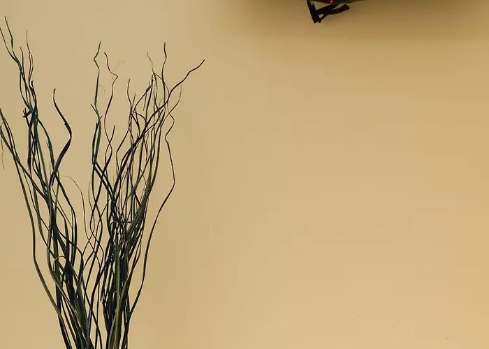 게스트하우스 Casa Da Matriz Ponta Delgada